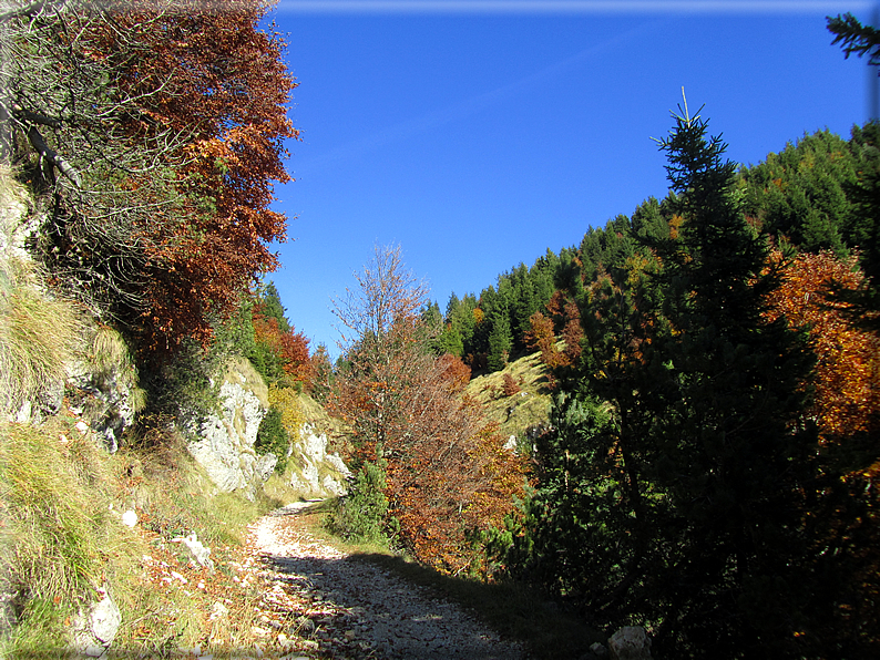 foto Mulatiera del Covolo